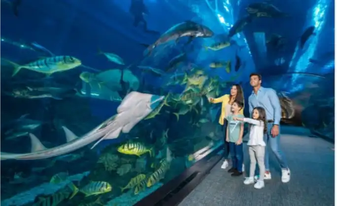 Image of a family standing inside the Dubai Mall Aquarium tunnel