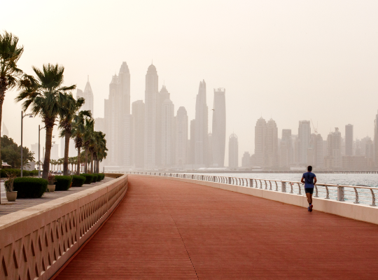 sports-culture-dda-ae