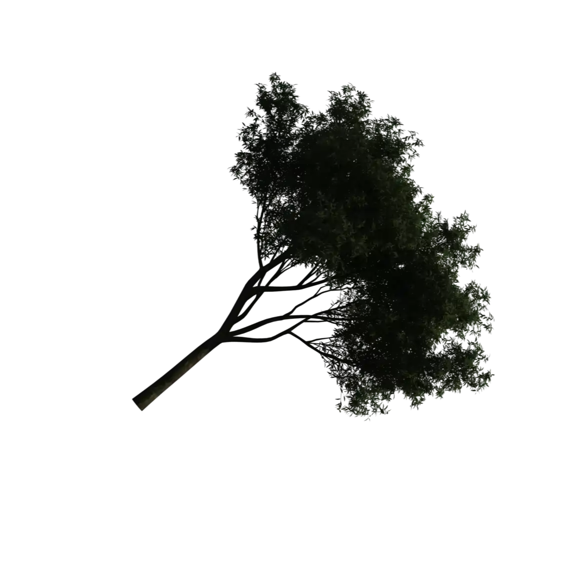 A tree