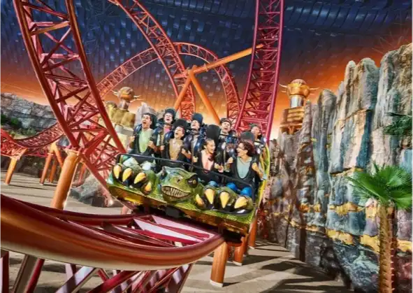 young adults enjoying a ride in a theme park